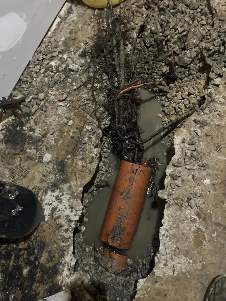 Close-up of broken clay drain tile with tree roots growing through the pipe, exposed after exterior excavation